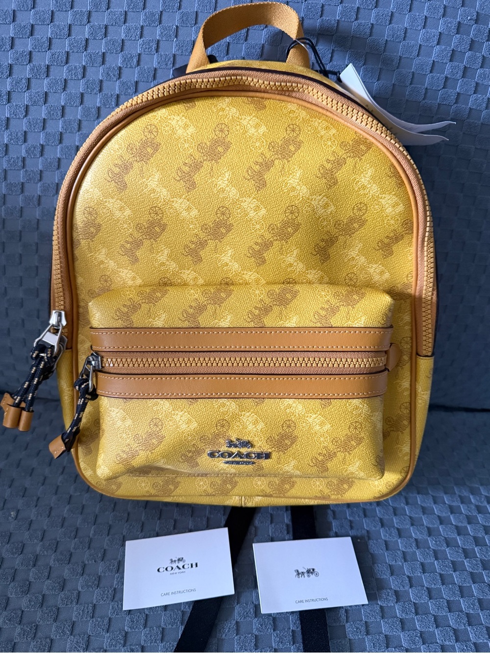 Coach Vale Charlie Limited Edition Backpack